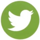 twitter logo