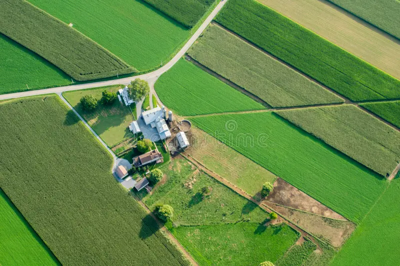 View Of Farm In Summer